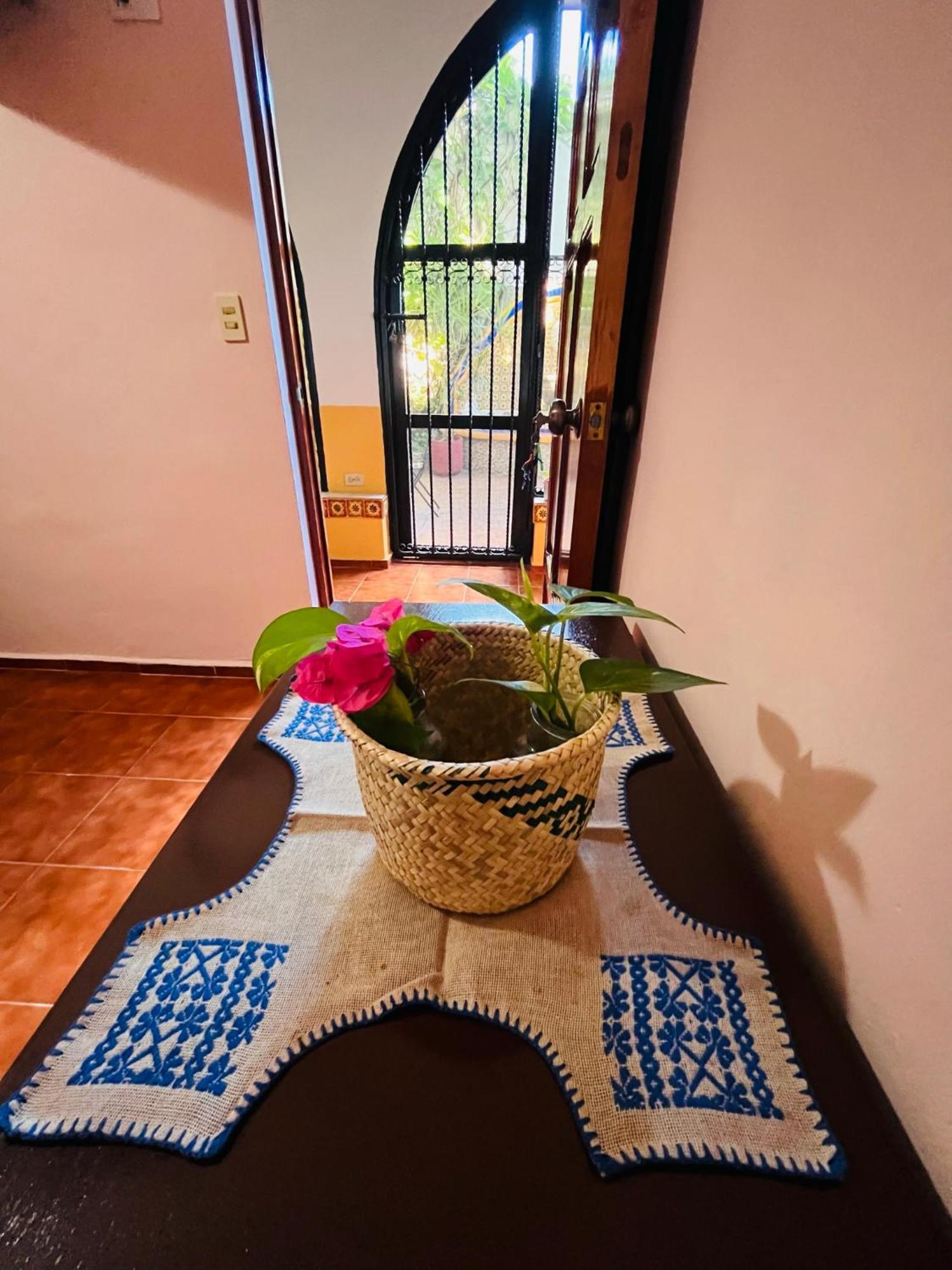 Bed and Breakfast Casa Tres Colibries Mérida Esterno foto