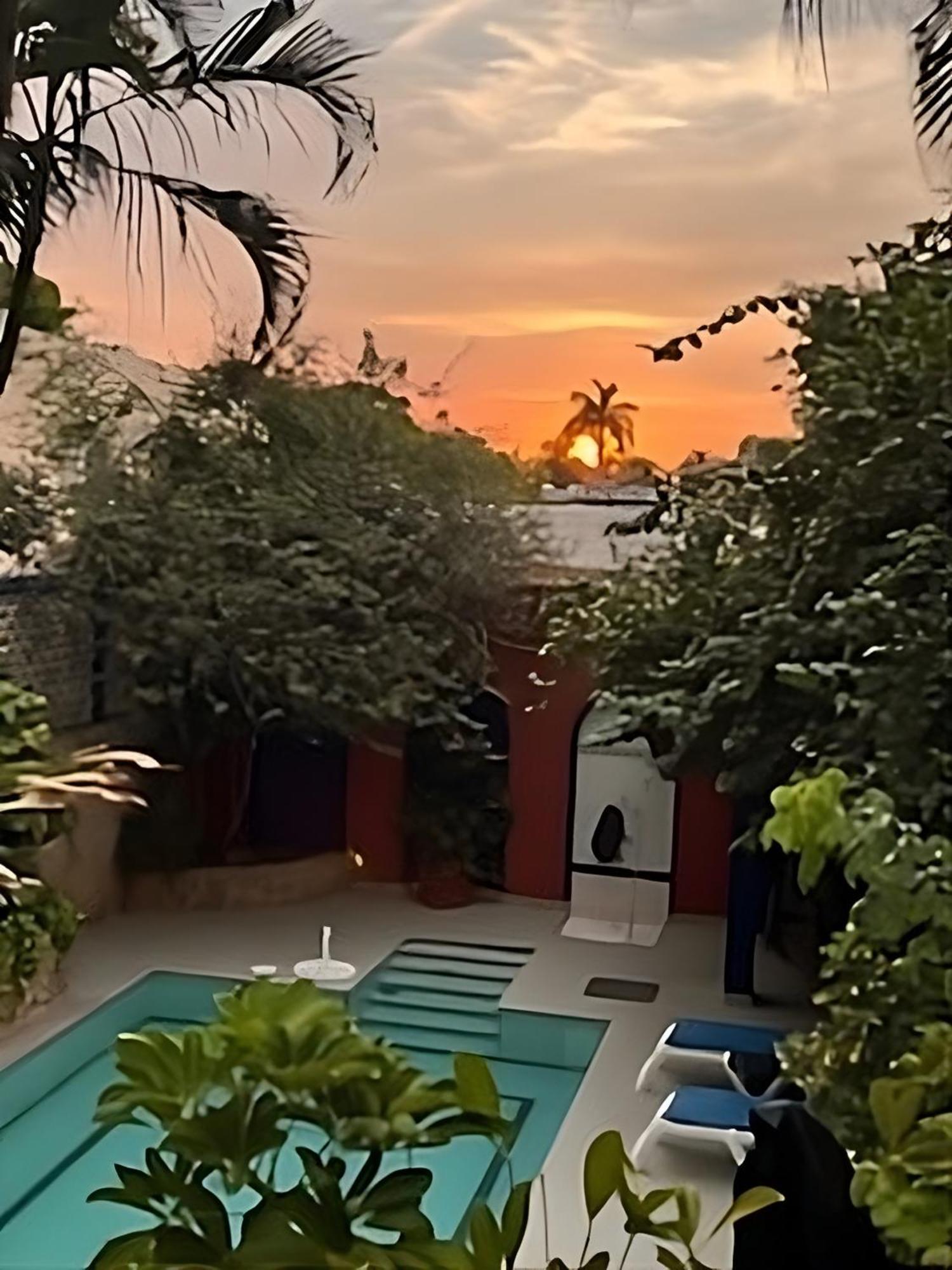 Bed and Breakfast Casa Tres Colibries Mérida Esterno foto