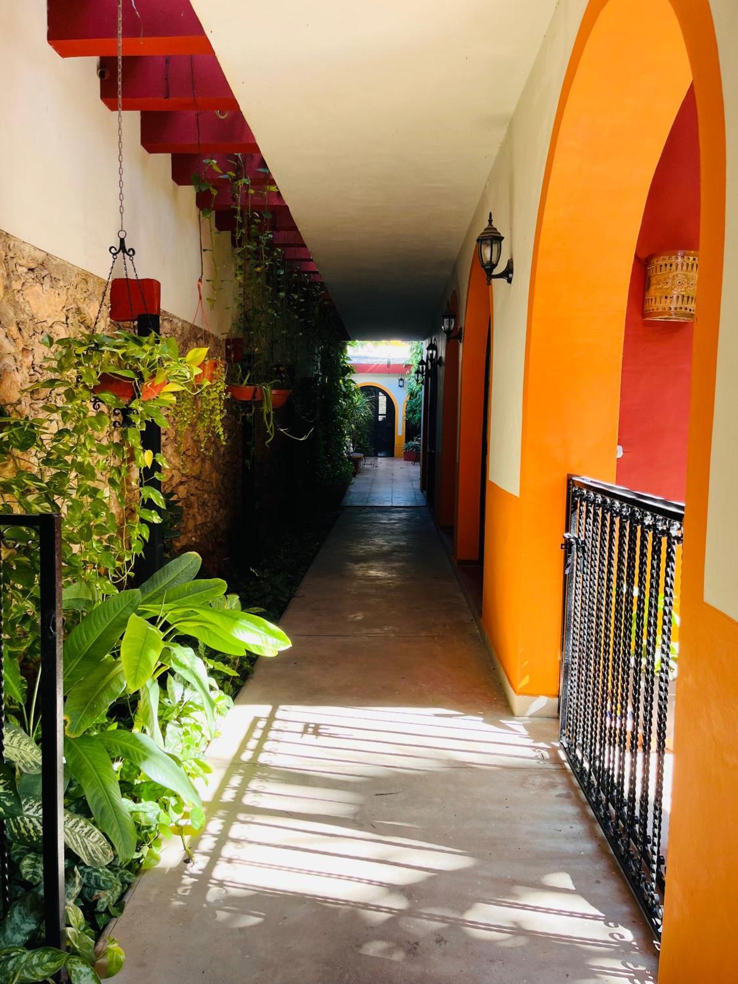 Bed and Breakfast Casa Tres Colibries Mérida Esterno foto