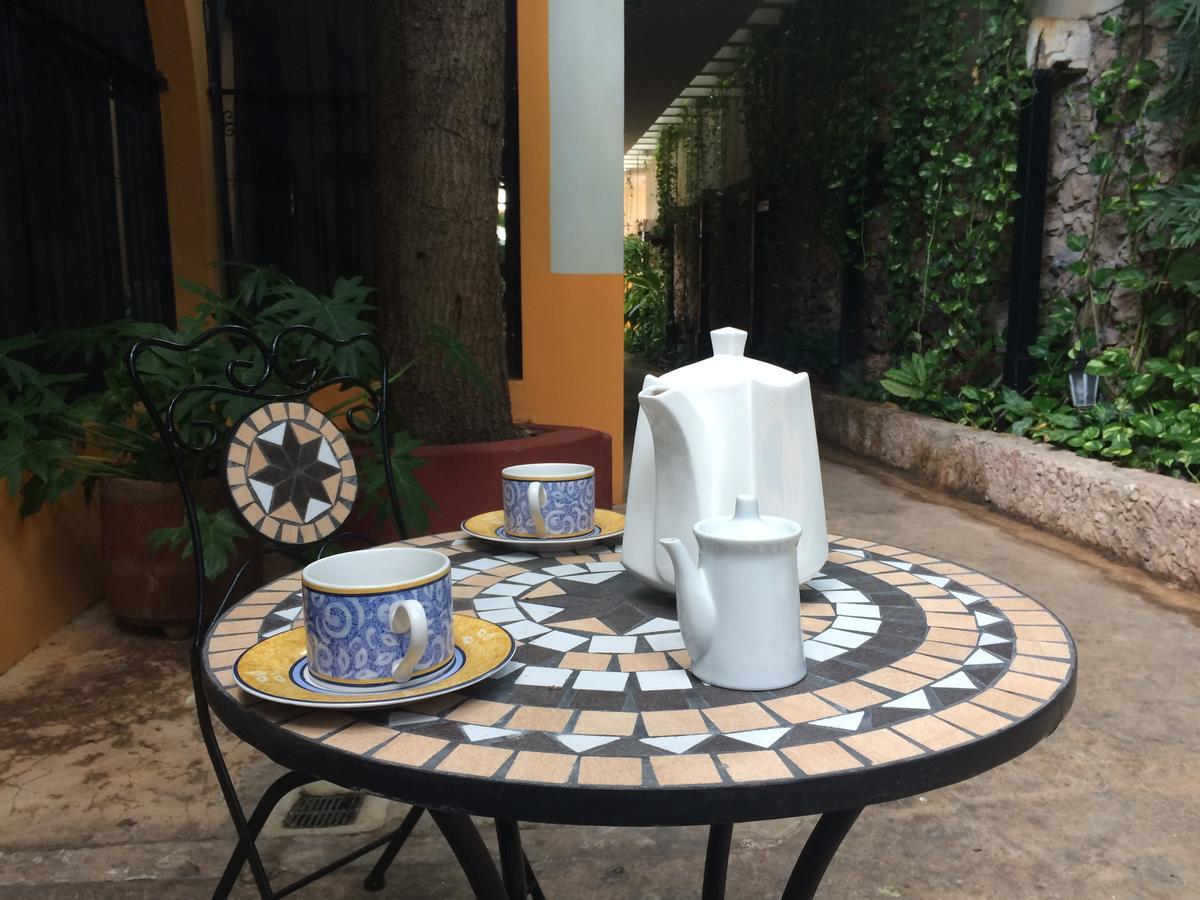 Bed and Breakfast Casa Tres Colibries Mérida Esterno foto