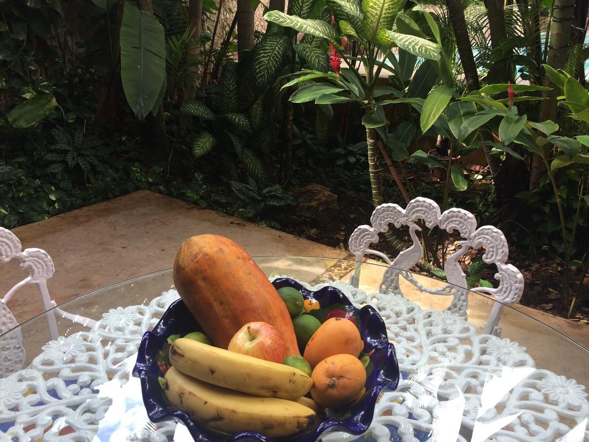 Bed and Breakfast Casa Tres Colibries Mérida Esterno foto